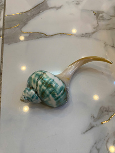 Reposapalillos Artesanal de Concha Marina Natural Hecho a Mano en Vietnam con Temática Costera Oceánica para Comidas Elegantes - Product Image 1