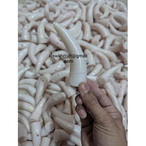 Cuerno de resina de calidad superior, estilo Animal, diseño de joyería, técnica tallada ecológica, suministros de soporte de uso listo pulido para - Product Image 6