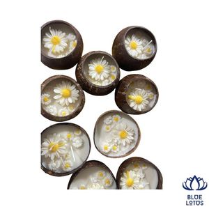 BEST SELLER Bougie en Coque de Noix de Coco Écologique, Cire de Soja de Haute Qualité, Longue Durée, Aromathérapie, Décoration d'Intérieur, Vente en Gros - Product Image 1