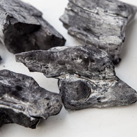Charbon de bois blanc Binchotan pour grillades et chauffage, haute teneur en calories, fabriqué au Vietnam, marque Viet Argo