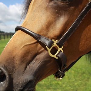 Cabestro de Cuero Genuino Premium para Caballo con Acolchado Suave, Ajustable y Duradero para Doma Clásica, Entrenamiento y Uso Diario - Product Image 3