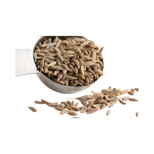 เมล็ดยี่หร่าทั้งหมดเครื่องเทศกลิ่นหอมธรรมชาติ jeera สำหรับการทำอาหารขายส่งและอุตสาหกรรมอาหาร - Product Image 4