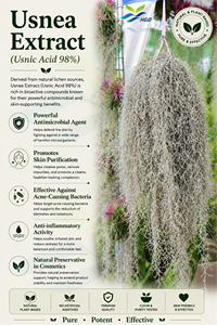 Suministro directo de fábrica de HGO de extracto de Usnea natural puro (grado alimenticio), especificación de ácido Usnic 98% (extracto estandarizado) - Product Image 2