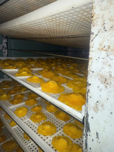 Tranches d'ananas déshydratées du Vietnam, ingrédient de fruits tropicaux pour la pâtisserie, les desserts, les mélanges de thé, la production de snacks, approvisionnement en vrac - Product Image 4