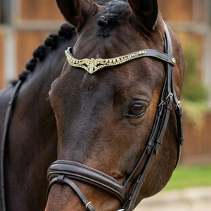 Accessoires de dressage équestre confortables et durables en cuir avec strass AB vert émeraude anatomique pour chevaux - Product Image 6