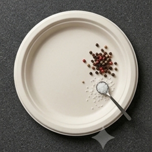 10 Inch Round Bagasse Dinner Plate Compostable Disposable Sugarcane Fiber Tableware for Restaurants Catering Parties and Daily D - Product Image 3