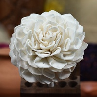 Sola Flower Diffuseur Reed Sticks Produit amical d'écho pour la décoration de la chambre et du désherbage pour tous les temps