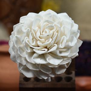 Sola Flower Diffuseur Reed Sticks Produit amical d'écho pour la décoration de la chambre et du désherbage pour tous les temps - Product Image 2