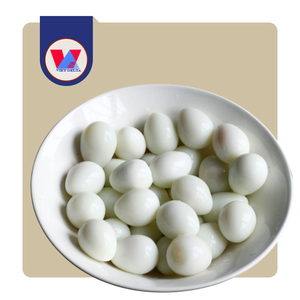 HUEVOS DE CODORNIZ ENLATADOS PREMIUM, 100% NATURALES, 425g, EN SALMURILLA, LISTOS PARA COMER, IDEALES PARA HOTPOT Y RAMEN - Product Image 1