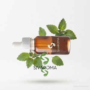 Premium Grade <b>Patchouli</b> Oil for International Buyers, Fragrance Manufacturers, Cosmetic Companies, Personal Care Product - Product Image 3