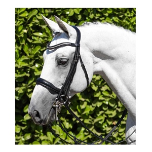 Brida doble ecuestre de carreras con logotipo personalizado, acero inoxidable y cuero occidental duradero con costura elegante, productos para caballos - Product Image 2