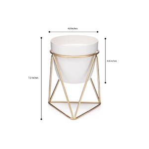 Pot de fleurs de qualité supérieure pour la décoration de la maison, support unique finition dorée, taille personnalisée, prix le plus bas, décoration de présentoir - Product Image 5