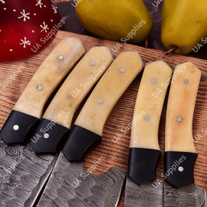 OEM ODM Personnalisé Acier au carbone martelé 4,5-9 pouces Ensemble de couteaux de chef japonais faits à la main Écologique Ambidextre Os de chameau - Product Image 5