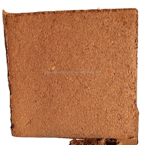 ใยมะพร้าวคุณภาพพรีเมียม 5 กก. 650 กรัม แบบก้อน สำหรับการเกษตร พืชสวน ไฮโดรโปนิกส์ และโรงเรือนเพาะปลูก - Product Image 2