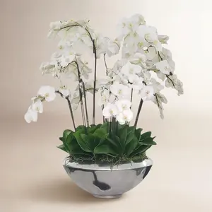 Fabricante de Jarrones Decorativos de Hierro con Diseño Costero Ecológico para Pedidos al por Mayor, Precio Directo de Fábrica, Zahid Exports - Product Image 1