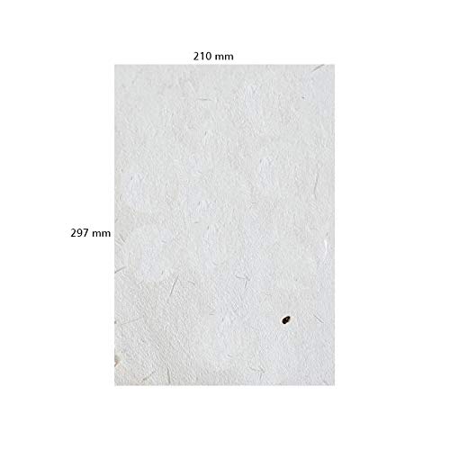 ตามที่แสดง