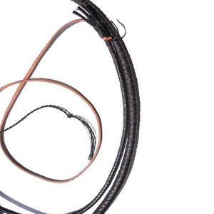 Última Novedad: Látigo de Equitación con Mango Cómodo, Látigo Largo y Recto, Precio Directo de Fábrica, Servicio OEM ODM - Product Image 3