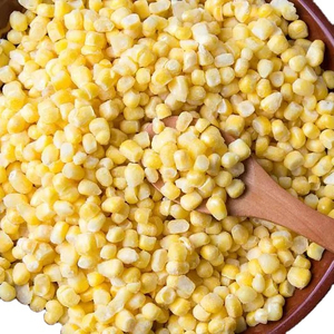 ข้าวโพด GMO คุณภาพพรีเมียม ขายส่งจำนวนมาก เกรดอาหาร พร้อมจัดส่ง ผู้จัดจำหน่ายส่งออกที่เชื่อถือได้ - Product Image 4