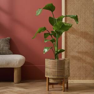 Rattan Planter & Metal Stand - Product Image 6