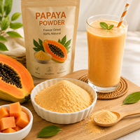 Private Label Papajapoeder Natuurlijk Fruitpoeder Voedingsmiddelenkwaliteit Groothandel Fabriekslevering voor Voedingssupplementmerken