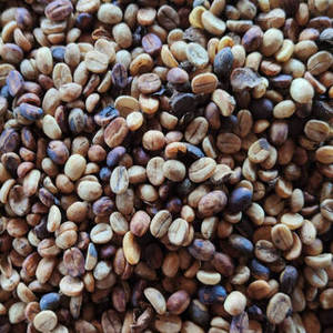 Granos de Café Arábica Tostados Puros de Alta Calidad, 100% Puro, Grado A, 1 kg, Mejor Precio, Importación, Compra al por Mayor - Product Image 4