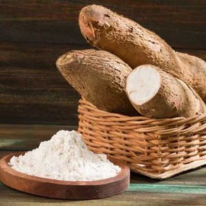Poudre d'arrowroot de haute pureté – Ingrédient alimentaire naturel du Vietnam, export en vrac - Product Image 1