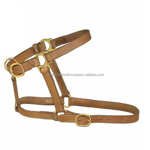 Cabestro de Cuero Genuino de Primera Calidad para Caballo, Cabestro de Cuero de Alta Comodidad, Venta al por Mayor, Logotipo Personalizado y Herrajes de Latón - Product Image 5