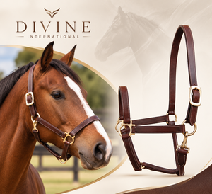 Harnais pour cheval en cuir véritable de qualité supérieure avec boucles réglables et accessoires métalliques durables pour équipement équestre professionnel - Product Image 5