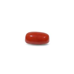 Natural Red Coral Oval Cabochon Loose Gemstone-11.6 Carat AA Quality 4mm Size Certified Wholesale - Product Image 3