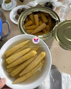 ข้าวโพดหวานกระป๋อง ราคาดีที่สุด พร้อมส่งออกจำนวนมาก จากซัพพลายเออร์เวียดนาม - Product Image 5