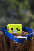 4G Mini traceur étanche anti-perte pour chien Gps chasse chien Gps collier traceur pour animaux de compagnie