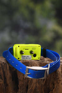 4G <span class=keywords><strong>Mini</strong></span> <span class=keywords><strong>traceur</strong></span> étanche anti-perte pour chien <span class=keywords><strong>Gps</strong></span> chasse chien <span class=keywords><strong>Gps</strong></span> collier <span class=keywords><strong>traceur</strong></span> pour animaux de compagnie - Product Image 2