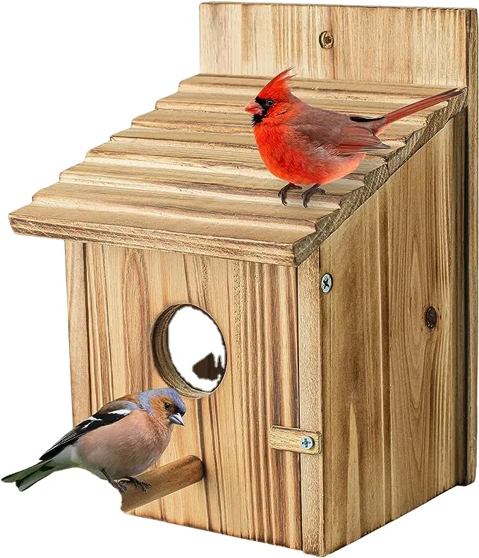 Sparrow Attractive Wooden Bird House For Garden Outdoor In Elegant Finish Wooden Bird Feeder In factory Prices
