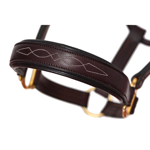 Productos de Equitación de Lujo, Cabestro de Cuero Inglés para Caballo con Herrajes de Latón, Equipo para Deportes Ecuestres y Carreras de Caballos - Product Image 2