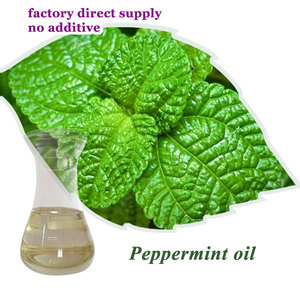 Supplier Terpercaya Grosir 100% Minyak Esensial Ekstrak Tanaman Organik Alami Murni Kelas Kosmetik Minyak Peppermint Massal untuk Perawatan Kulit - Product Image 6