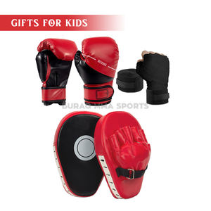 Kit de boxe pour enfants, gants d'entraînement et sac de frappe pour débutants - Product Image 1