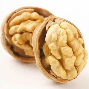 เมล็ดวอลนัทดิบอบแห้งราคาถูก ขายส่งจำนวนมาก พร้อมจัดส่งรวดเร็ว - Product Image 1