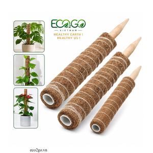 ชุดเสามอสขนาด28นิ้ว2แพ็คสำหรับพืช Monstera MOSS POLE สำหรับปีนต้นไม้ในร่มโดย Eco2go เวียดนาม - Product Image 1