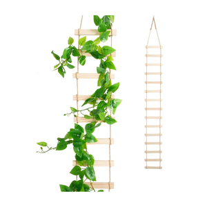 Treillis en bois pour plantes d'intérieur, treillis suspendu pour plantes grimpantes, pour usage intérieur et extérieur, vente en gros du Vietnam - Product Image 1