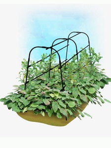 6 FT Tall <b>Arch</b> Tunnel <b>Metal</b> A-<b>Frame</b> Plant Support - Product Image 5