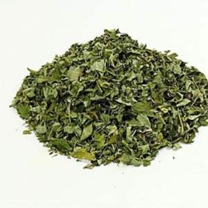 Hojas de Moringa Cultivadas Orgánicamente, Hojas de Árbol Secas Puras para Producción de Té, Venta al Por Mayor, Producto Saludable Altamente Nutritivo - Product Image 6