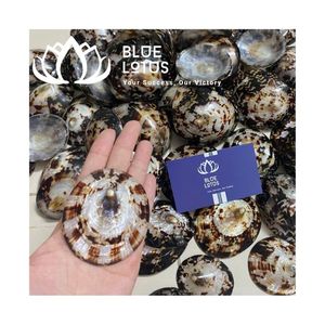 Disponibles Conchas de Limpet Azules Trituradas Ecológicas, Material a Granel para Manualidades DIY - Product Image 1