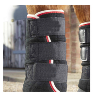 Bottes de transport pour chevaux 2026 : Design haut de gamme, qualité supérieure, avec néoprène et bandages rafraîchissants