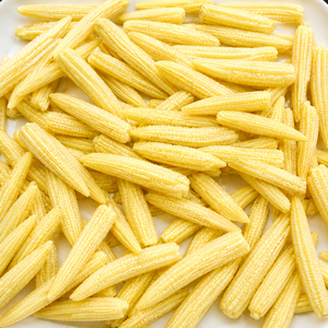 ซัพพลายเออร์ B2B สำหรับการจัดหาข้าวโพดหวานกระป๋องสดจำนวนมาก ได้รับการรับรองมาตรฐาน HACCP/BRC/ISO/ MS ALINA - Product Image 6