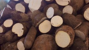 มันเทศขาวแช่แข็งพร้อมปรุง/คุณภาพสูง/เหมาะสำหรับผู้จัดจำหน่ายขายส่งและผู้ผลิตอาหารสำเร็จรูป/คุณอลีนา - Product Image 3