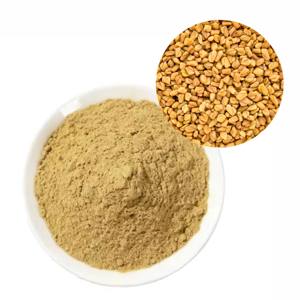 Poudre de graines de fenugrec de qualité supérieure, poudre de fenugrec naturelle riche en nutriments pour compléments alimentaires et aliments fonctionnels - Product Image 1