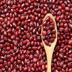 New Wholesale Price Kidney <b>Bean</b> Dried Dark Red <b>Bags</b> 25kg Bulk High Quality Packing Red Kidney <b>Beans</b> - Product Image 4