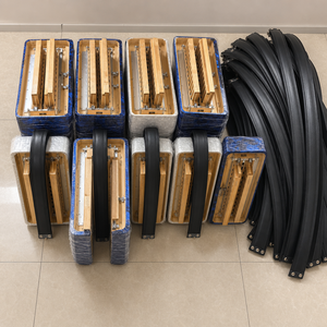 Acordeón Cromático de 30 Teclas y 60 Bajos, Instrumento para Estudiantes Avanzados, con Estuche Portátil para Escuelas de Música, Conservatorios y Entrenamiento - Product Image 6