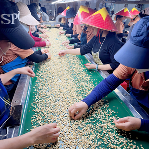 Wholesale In Bulk Cashew <b>Kernel</b> SANTIGO Cashew <b>Nuts</b> Broken WS LP SP BB <b>Nuts</b> <b>Kernels</b> Service 24/7 - Product Image 6