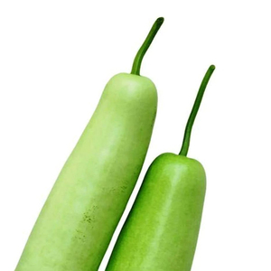 Lauki pur et frais, courge tendre, légume de ferme, pour la vente en gros, la restauration et la cuisine, neuf - Product Image 6
